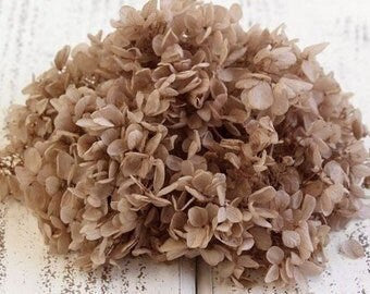 Different choice 5g preserved hydrangea, preserved flower DYI for resin epoxy, Hortensia, DYI resin