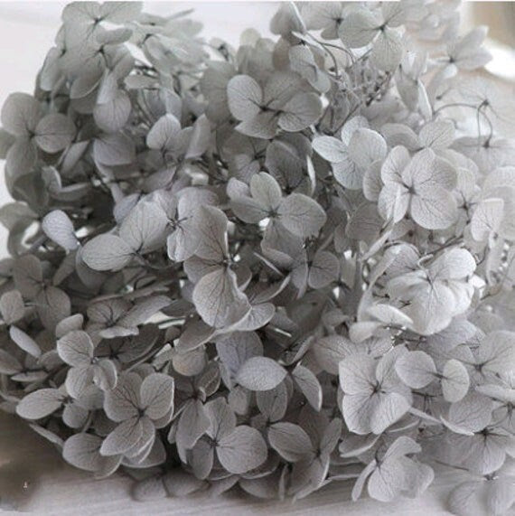 Different choice 5g preserved hydrangea, preserved flower DYI for resin epoxy, Hortensia, DYI resin