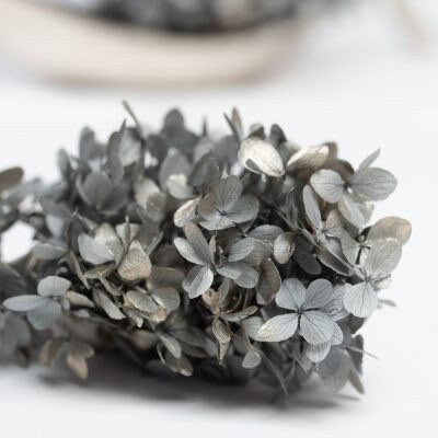 Different choice 5g preserved hydrangea, preserved flower DYI for resin epoxy, Hortensia, DYI resin