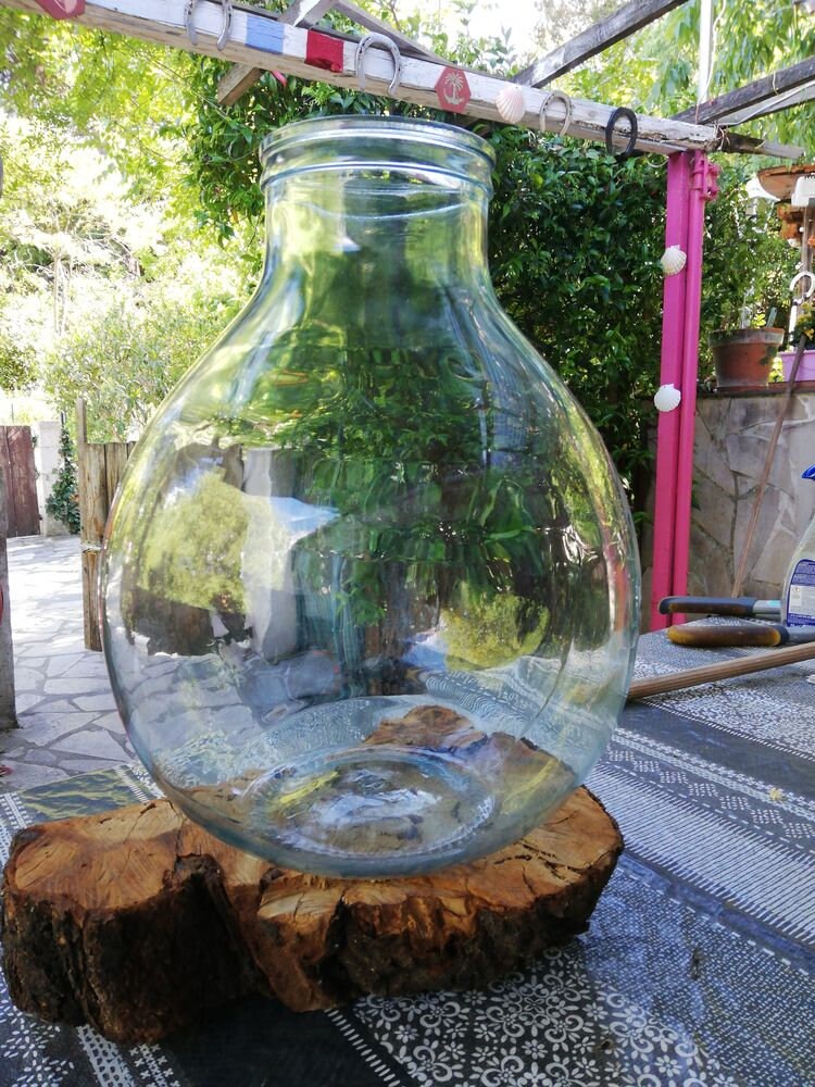 AncienXL size 20L Antique French Demijohn/Dame jeanne transparente grande ouverture terrarium