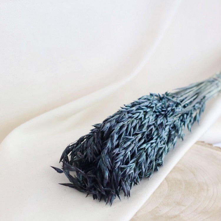 Dried avena blue turquoise 100g-120g