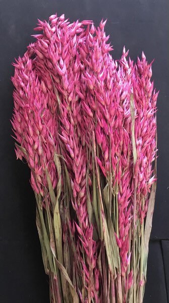 Dried avena pink 100g-120g, decoration interior