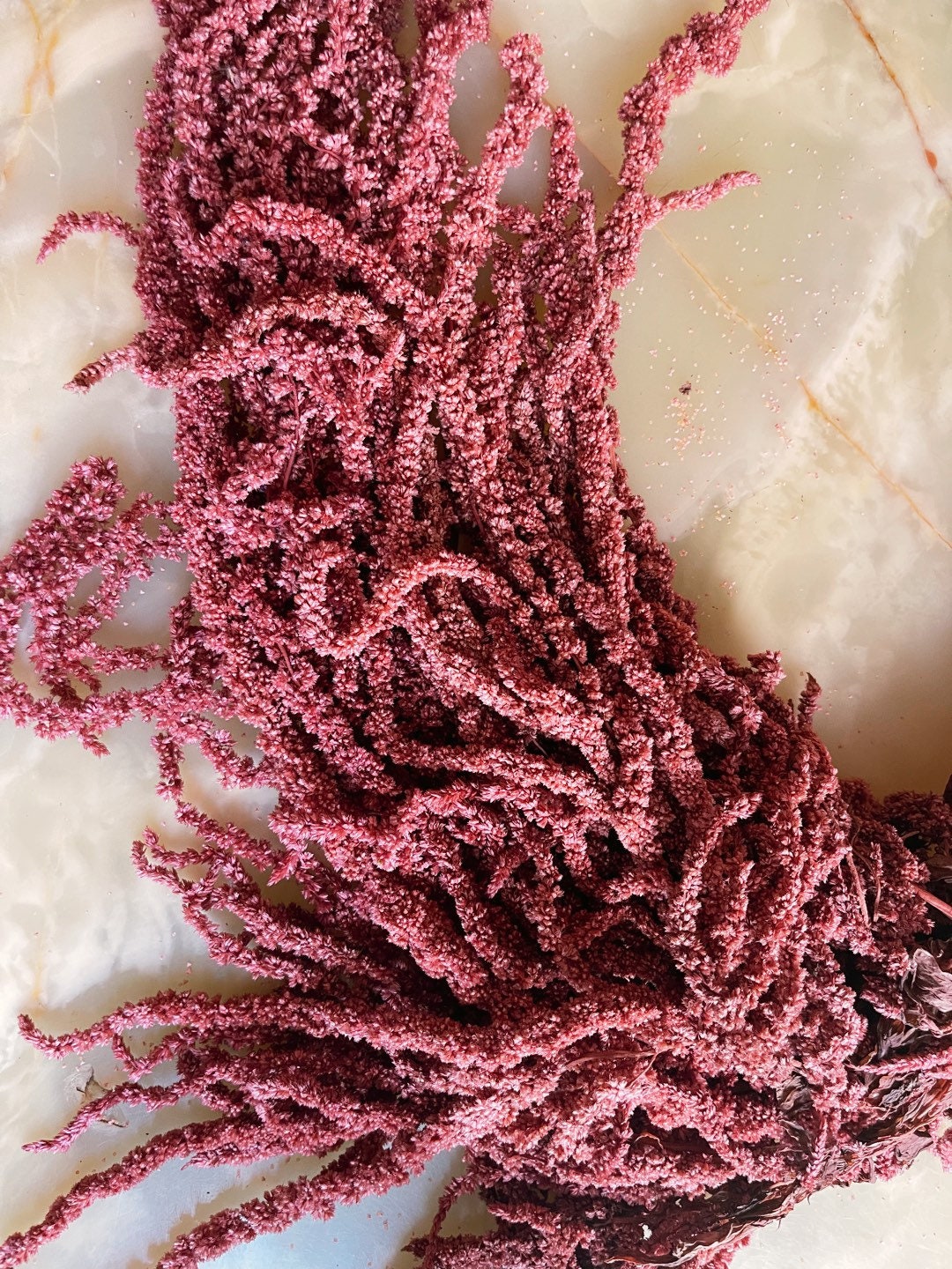 Vintage pink Preserved Hanging amaranthus/6 -7 stems/ wall decor, ceiling decoration, home deco