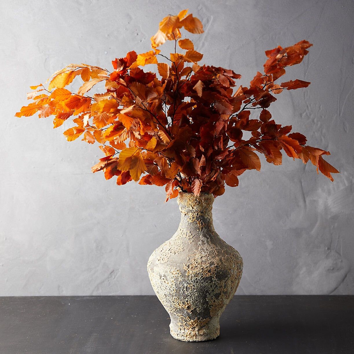 Preserved beech leave autumn yellow red gradient, feuille de hêtre stabilisé, hanging decoration, wall interior decoration 110-130g/bunch