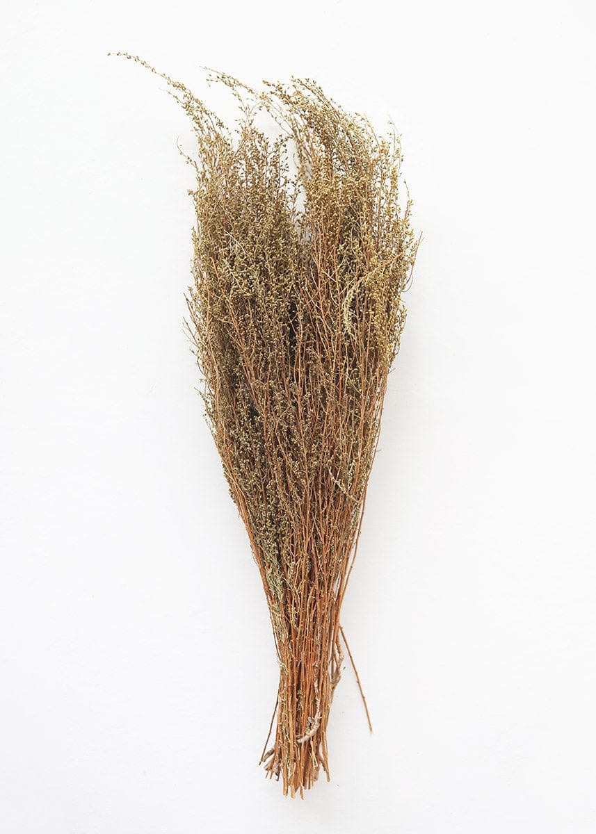 Natural Solidago Goldenrod Dried Flowers, vintage decoration