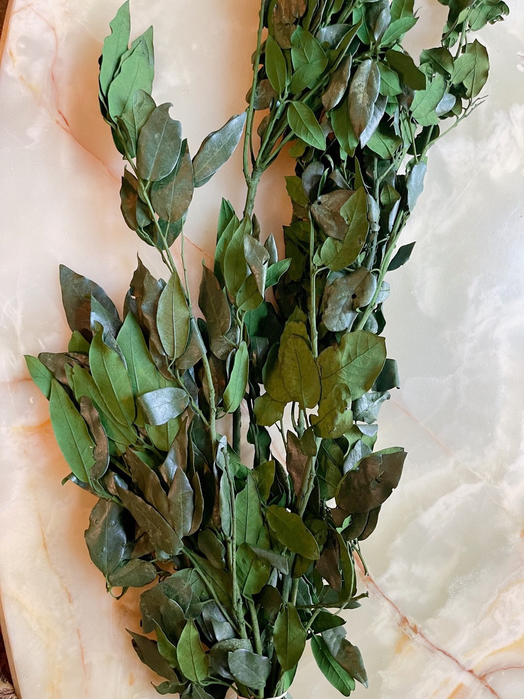Preserved Holly Oak leave green, Quercus ilex preserved, Chêne stabilisé, preserved foliage wall decoration DYI wreath tool, 120-140g/bunch