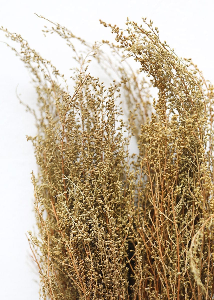Natural Solidago Goldenrod Dried Flowers, vintage decoration