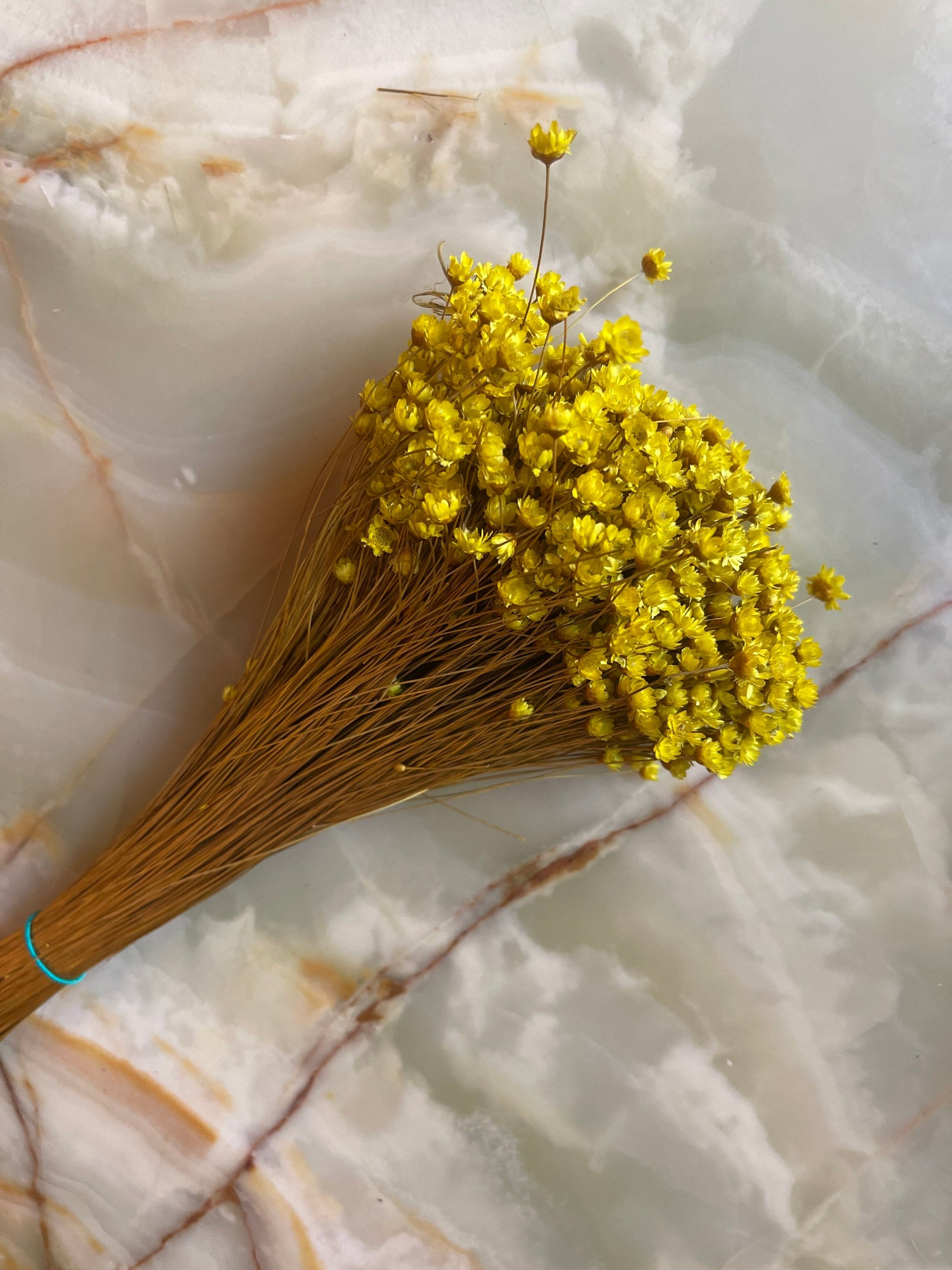 Colored Glixia Brazil, mini star, snowy flower, immortelle brezil, rustic decoration