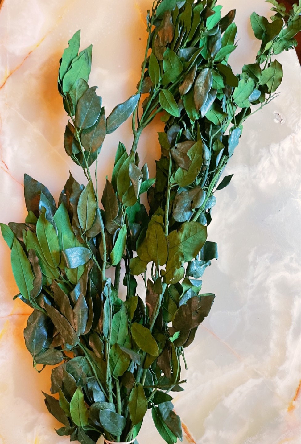 Preserved Holly Oak leave green, Quercus ilex preserved, Chêne stabilisé, preserved foliage wall decoration DYI wreath tool, 120-140g/bunch