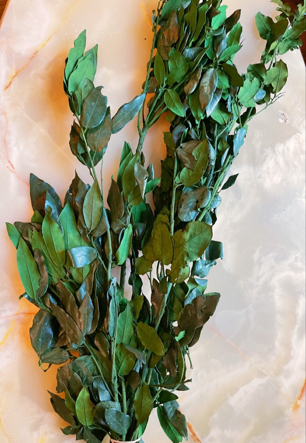 Preserved Holly Oak leave green, Quercus ilex preserved, Chêne stabilisé, preserved foliage wall decoration DYI wreath tool, 120-140g/bunch