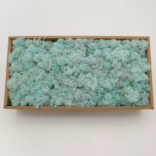 Preserved lichen reindeer moss blue aquatic, light blue, wall moss DIY tool, wall decoration