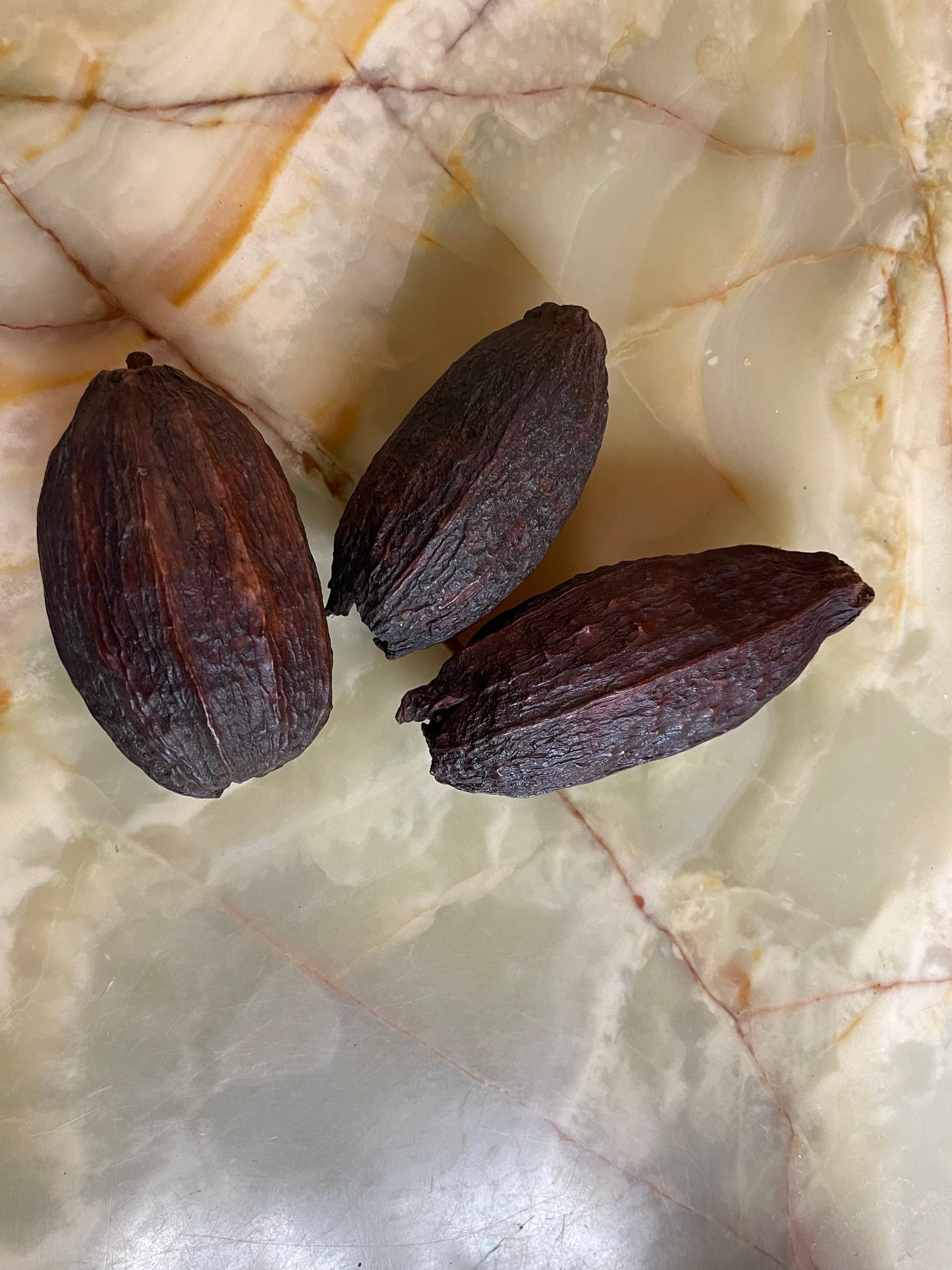 x1 Dried cacao pop for decoration, demonstration chocolat workshop ,shooting photo