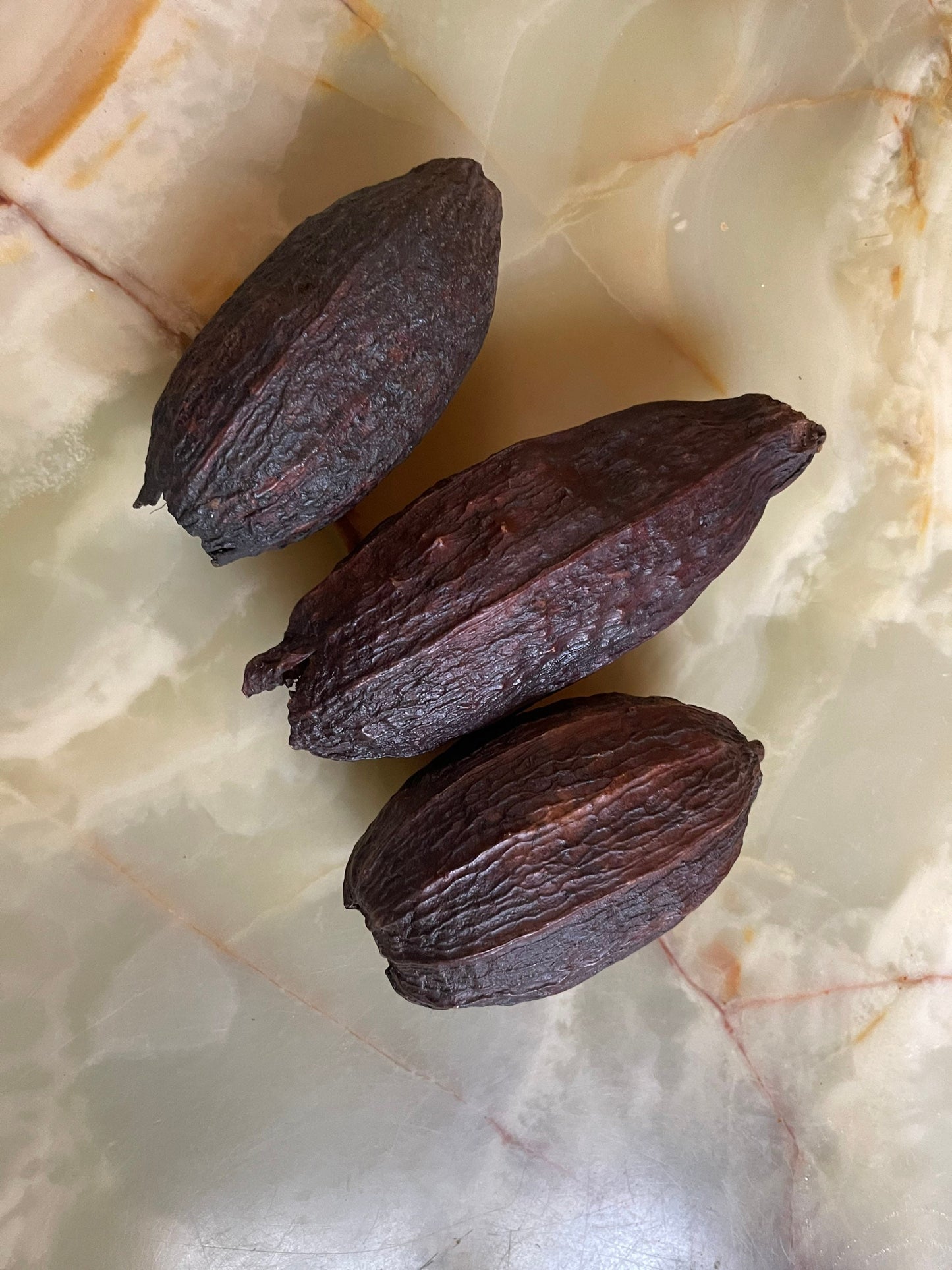 x1 Dried cacao pop for decoration, demonstration chocolat workshop ,shooting photo