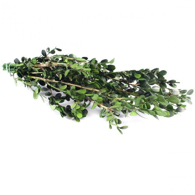 Preserved Buxus green, hanging decoration, wall interior decoration H40cm 60g/bunch
