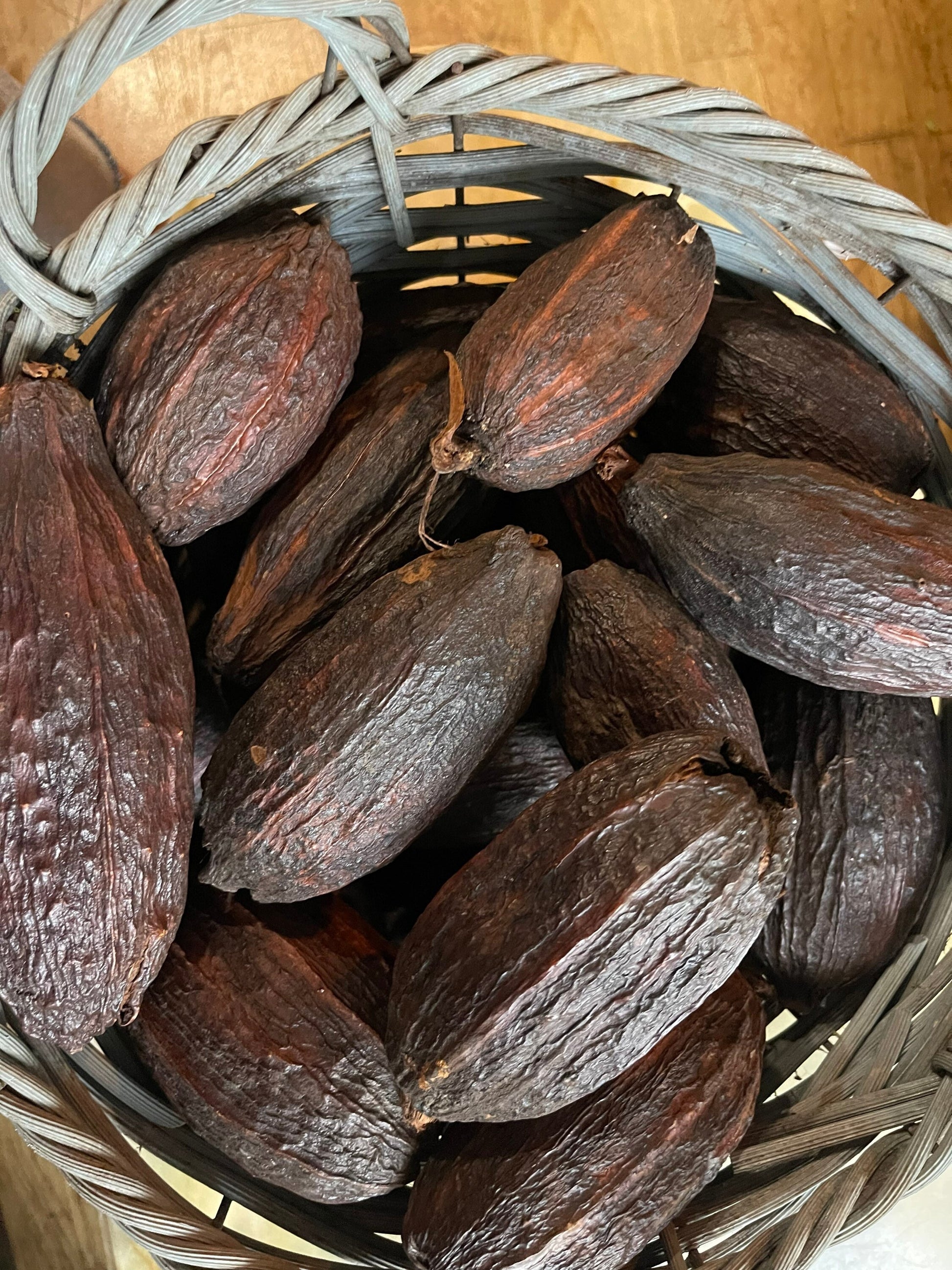 x1 Dried cacao pop for decoration, demonstration chocolat workshop ,shooting photo