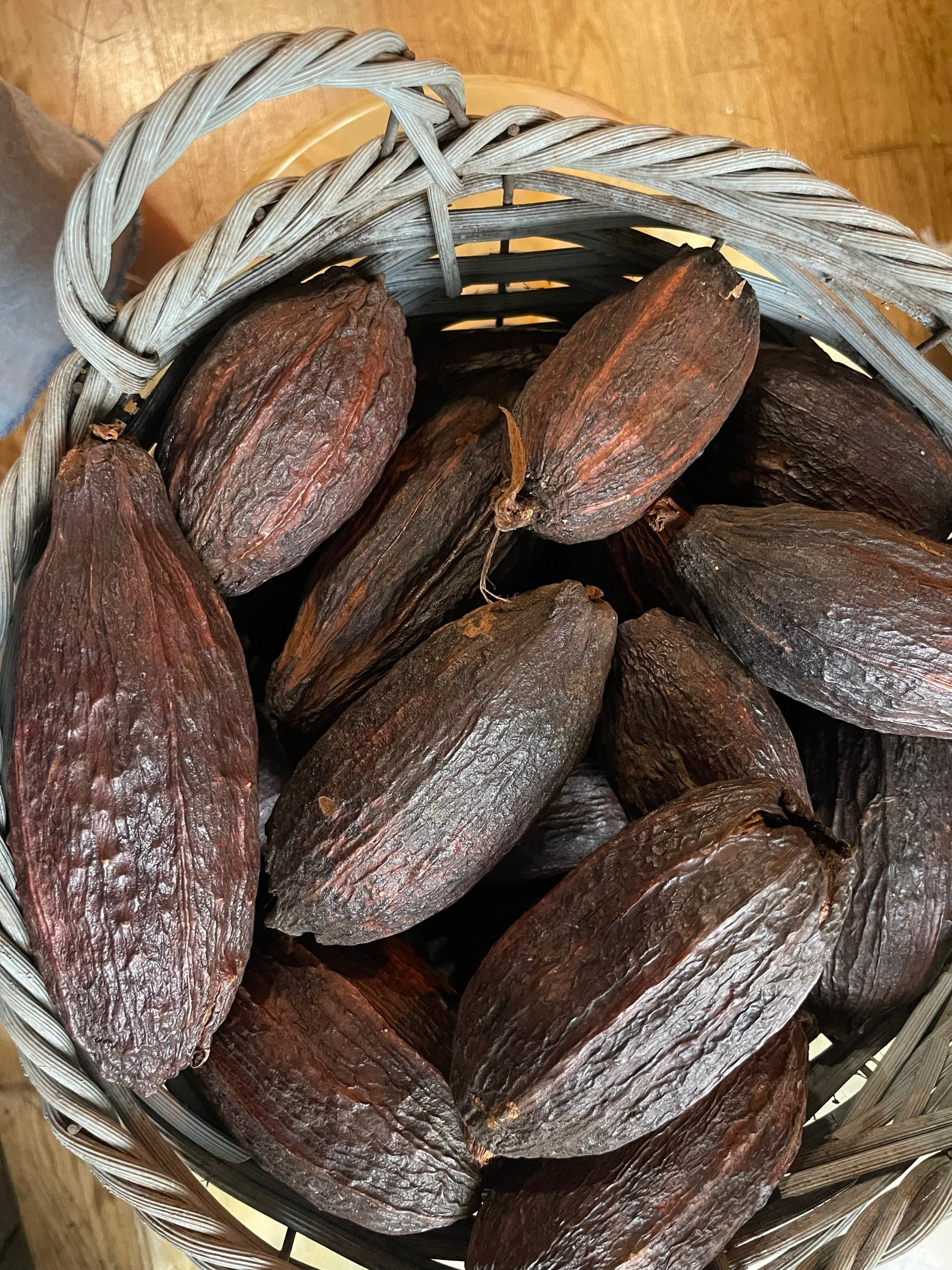 x1 Dried cacao pop for decoration, demonstration chocolat workshop ,shooting photo