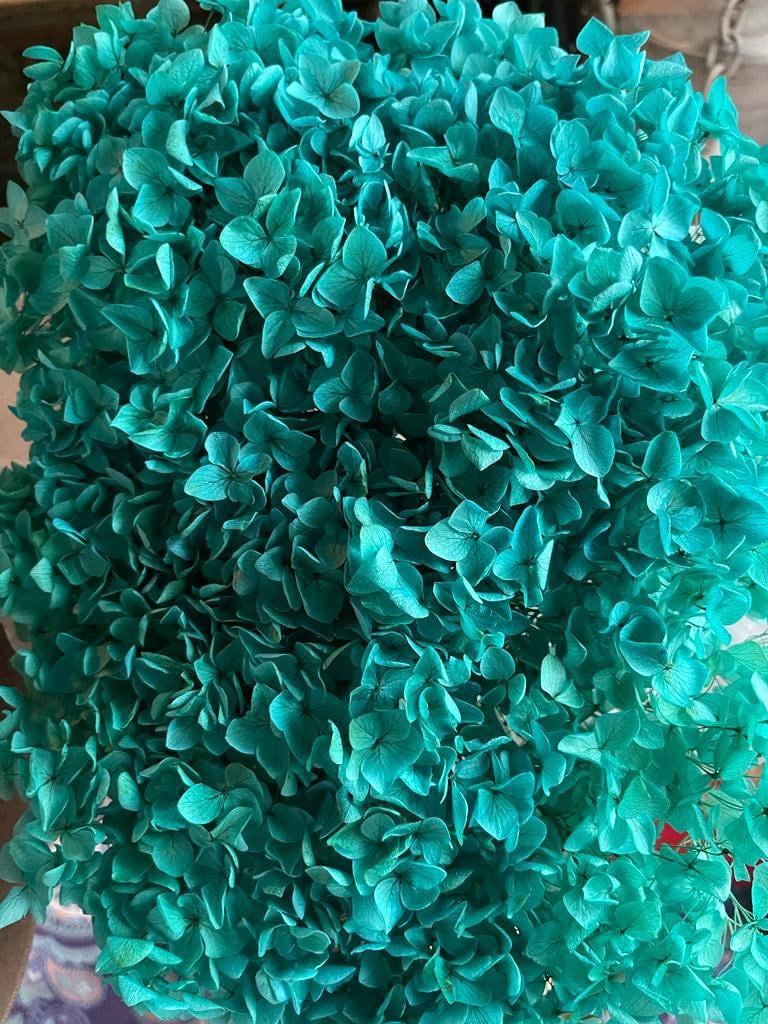 Big size Preserved hydrangea tiffany blue Dimension 28cm, hortensia, fleurs stabilisé