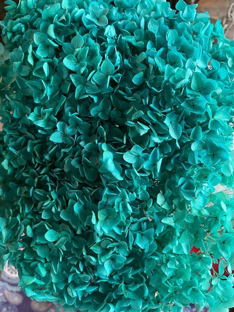 Big size Preserved hydrangea tiffany blue Dimension 28cm, hortensia, fleurs stabilisé