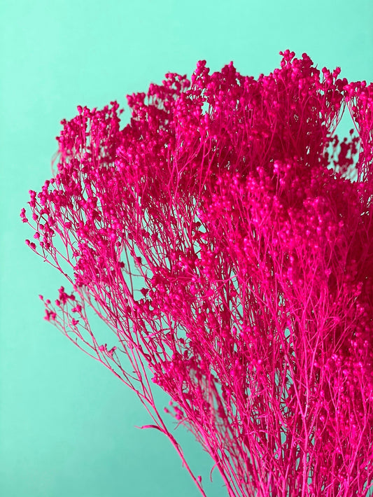 Dried broom groom fuchsia, fleur de balais,fleur séché, decoration rustique 100g