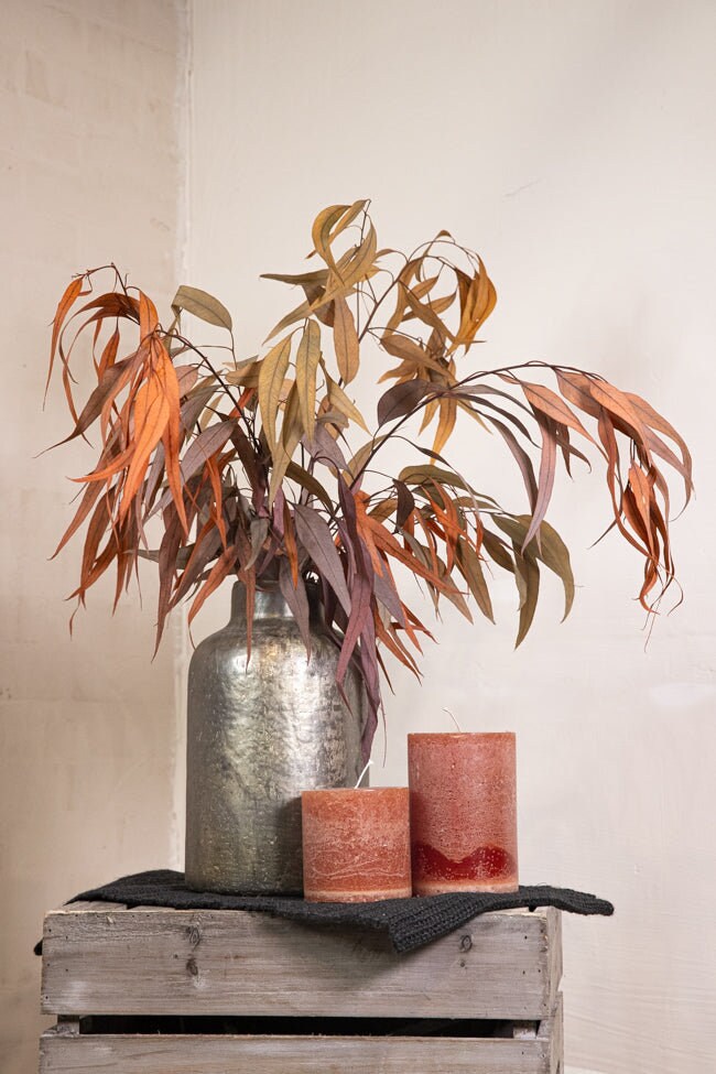 Preserved Red eucalytus exotica preserved foliage, wall decor, kokedama tool