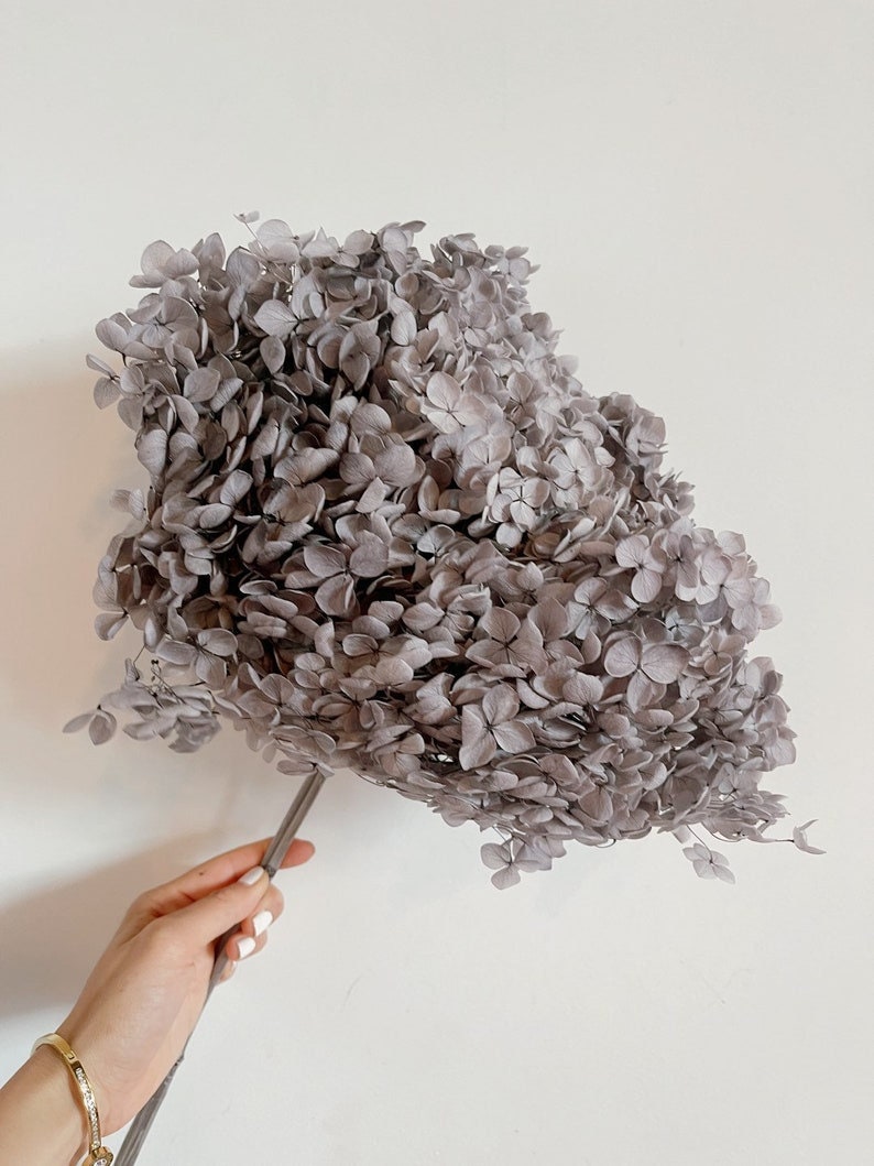 Preserved hydrangea glacier grey gradient D20cmDYI decoration, wedding, Resin, handcraft