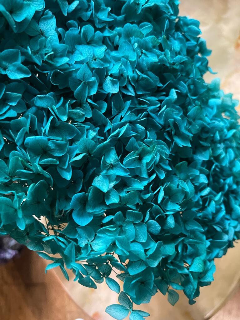 Big size Preserved hydrangea tiffany blue Dimension 28cm, hortensia, fleurs stabilisé