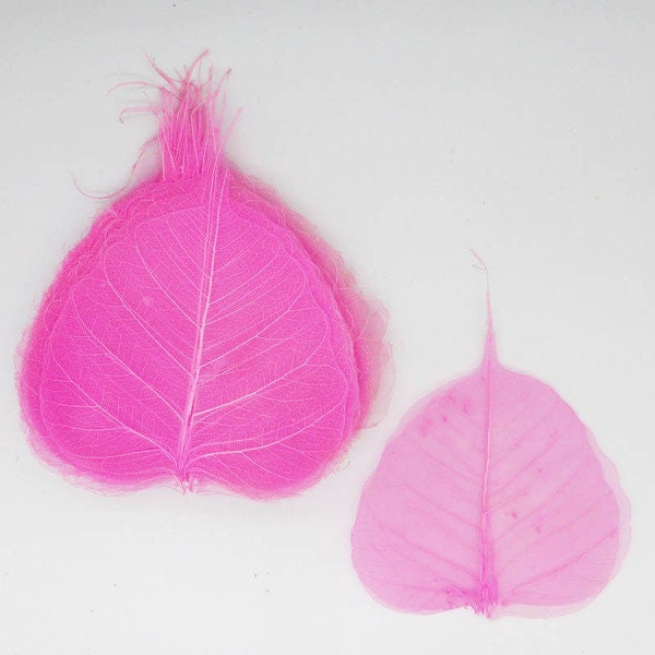 Pink Skeleton Bodhi leaf for Card Scrapbooking DIY Craft Embellishment
