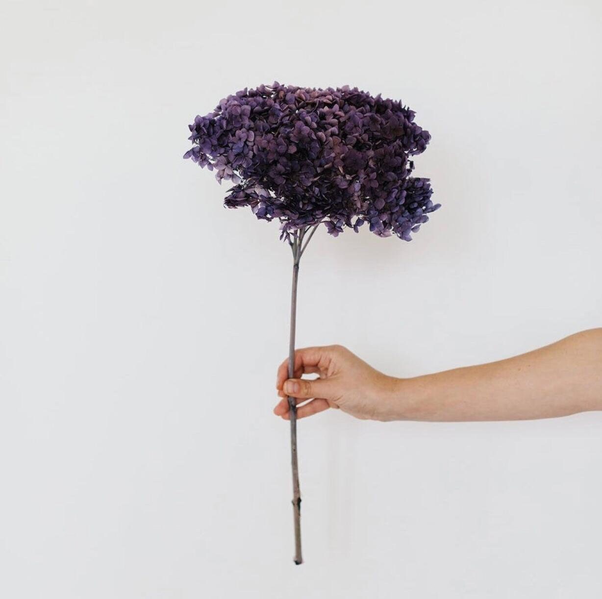 Big size Preserved Hydrangea 20-23cm dark violet gradient color, DIY, Resin, home decoration