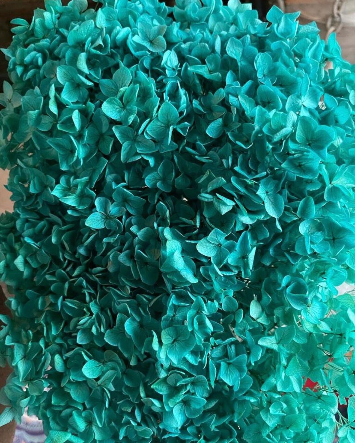 Big size Preserved hydrangea tiffany blue Dimension 28cm, hortensia, fleurs stabilisé