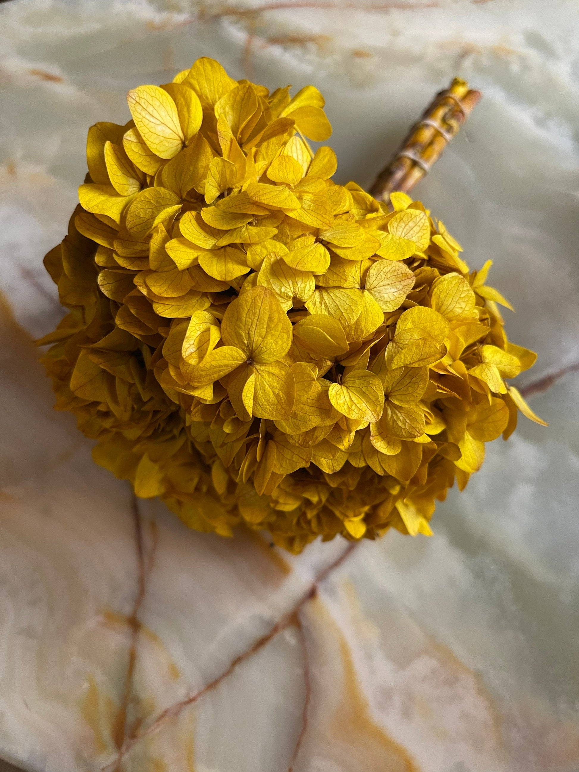 Big petal preserved hydrangea golden saffran, Diy resin, jewelery, home decoration