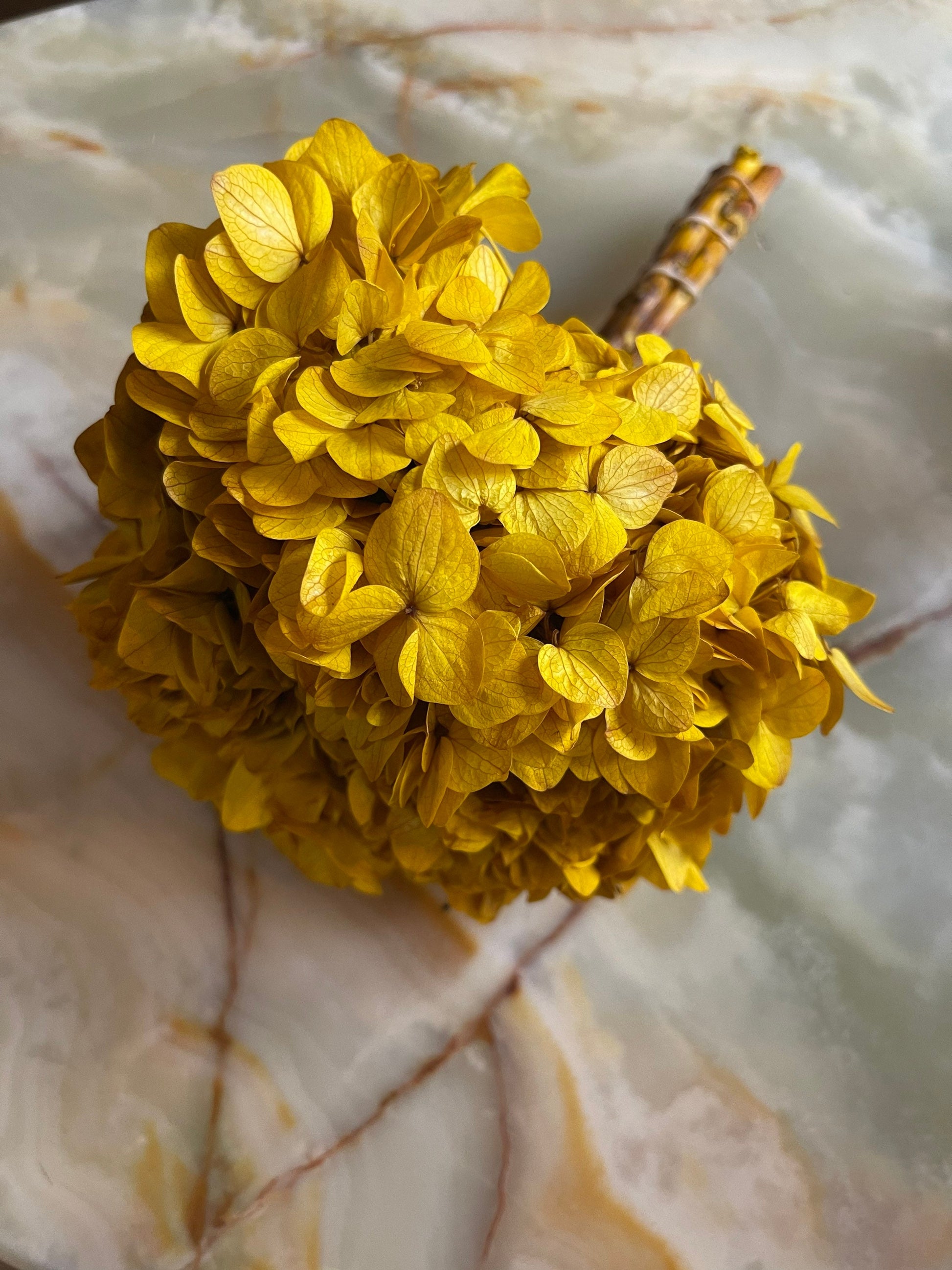 Big petal preserved hydrangea golden saffran, Diy resin, jewelery, home decoration