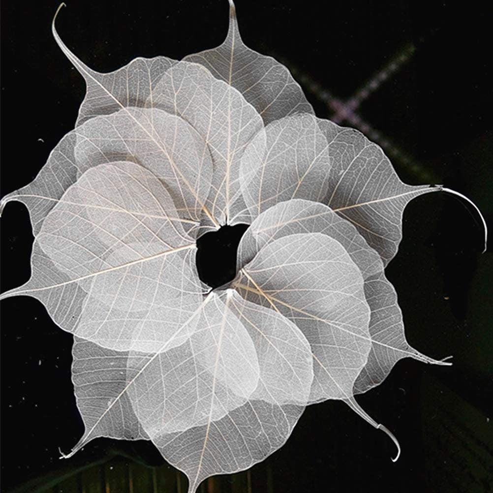 White natural Skeleton Bodhi leaf for Card Scrapbooking DIY Craft Embellishment