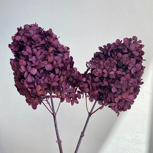 Preserved Hydrangeas paniculata, Burgundy Purple 50cm jewelry tool, Resin DIY, home decoration
