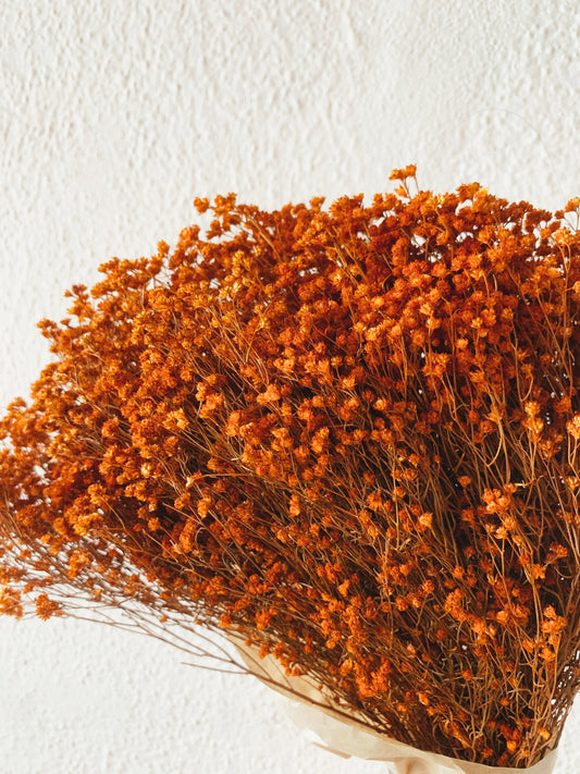 Bloom groom vintage orange, terracota orange 120g dried flower