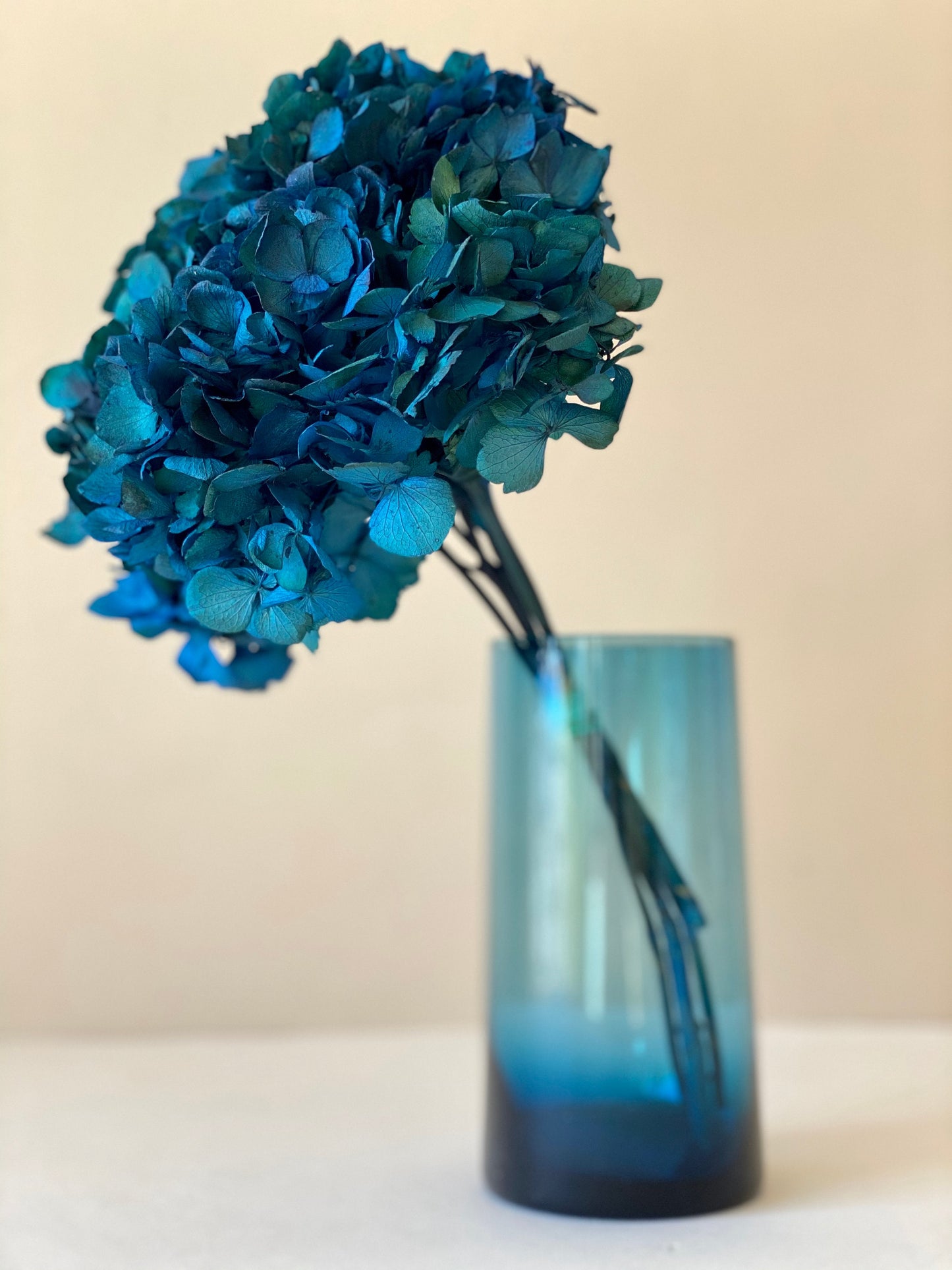 Big petal preserved hydrangea sapphire blue Diy resin, jewelery, home decoration
