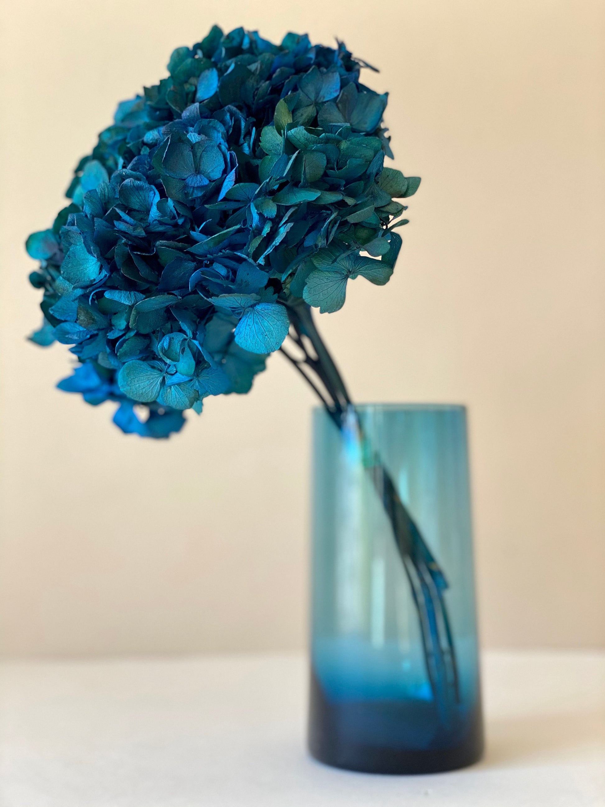 Big petal preserved hydrangea sapphire blue Diy resin, jewelery, home decoration