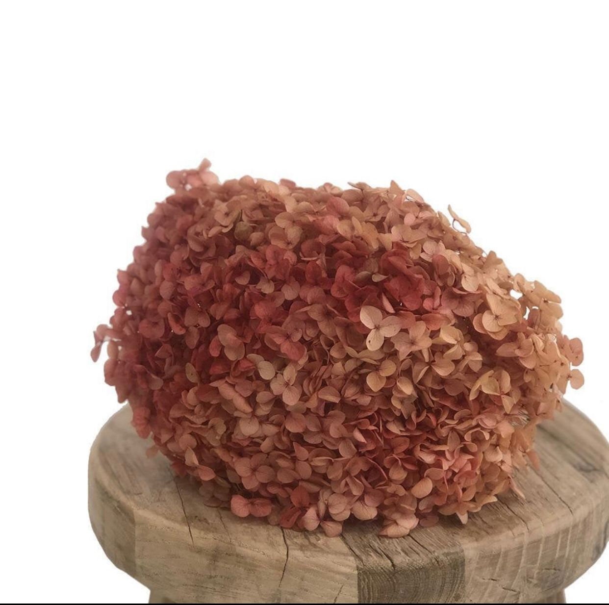 Preserved hydrangea big size 20cm diameter retro Sunset gradient Orange mix yellow color