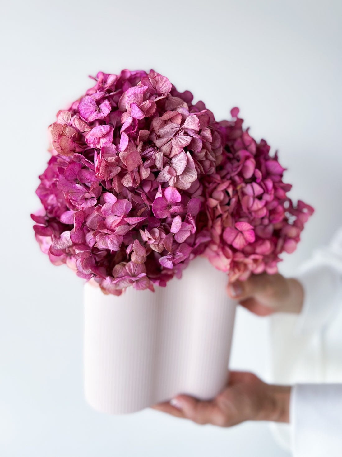Preserved hydrangea big size D20cm pink purple