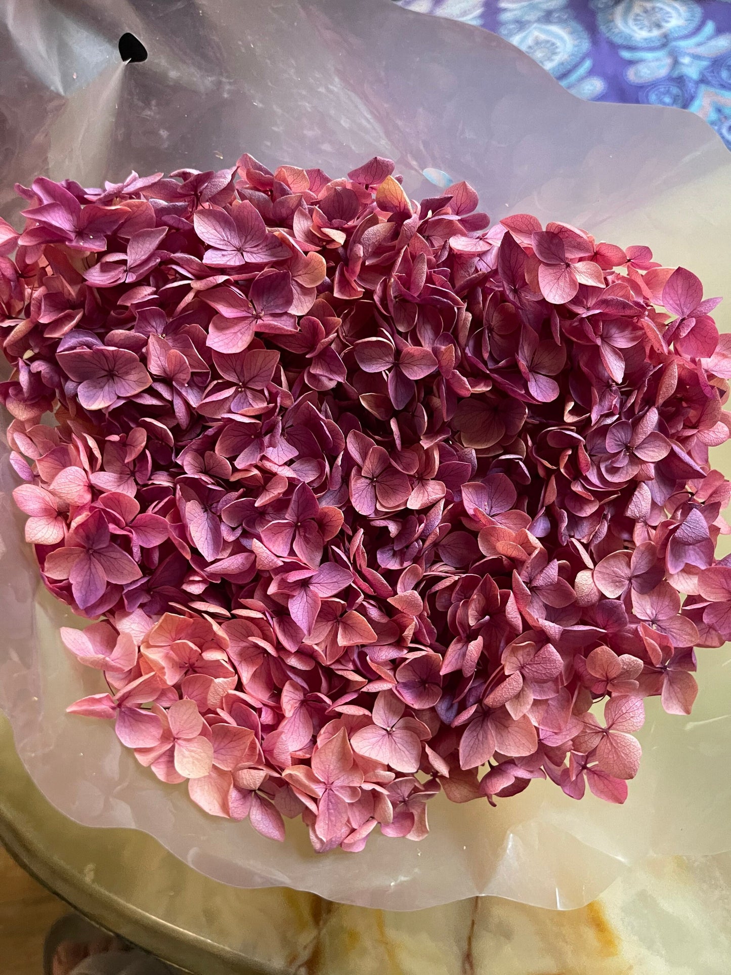 Preserved hydrangea big size D20cm pink purple