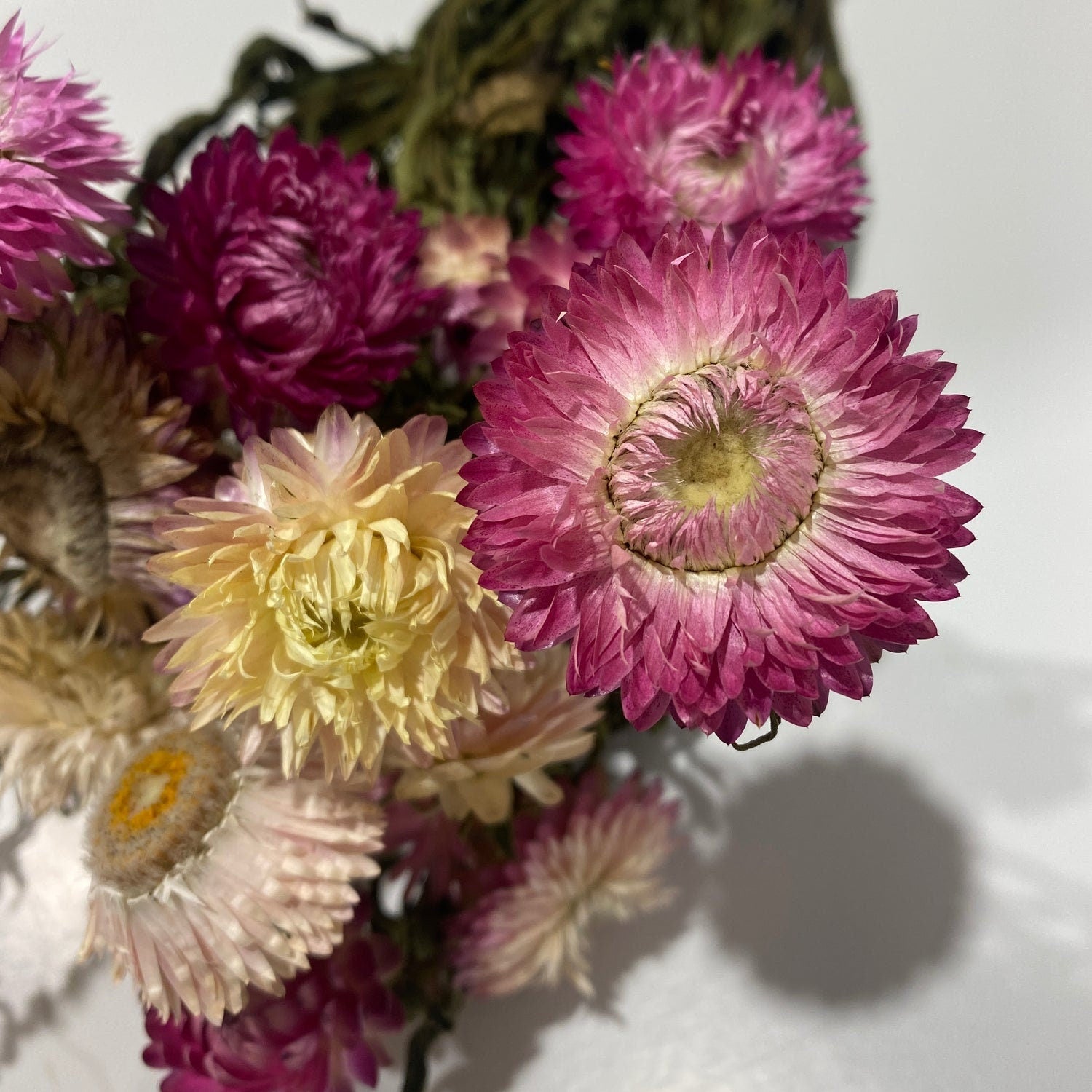 Pink Strawflowers, light/dark pink strawflowers, pink dried flowers, chrysanthemum, immortelle 3oz bunch, rustic decoration