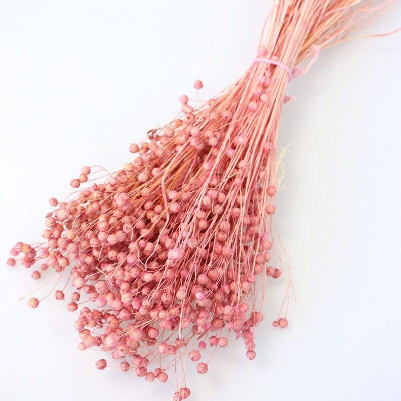 Flax linum, bouquet lin, dried linum natural bunch 90-100g, decoration interior