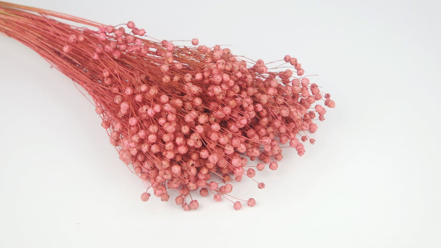 Flax linum, bouquet lin, dried linum natural bunch 90-100g, decoration interior