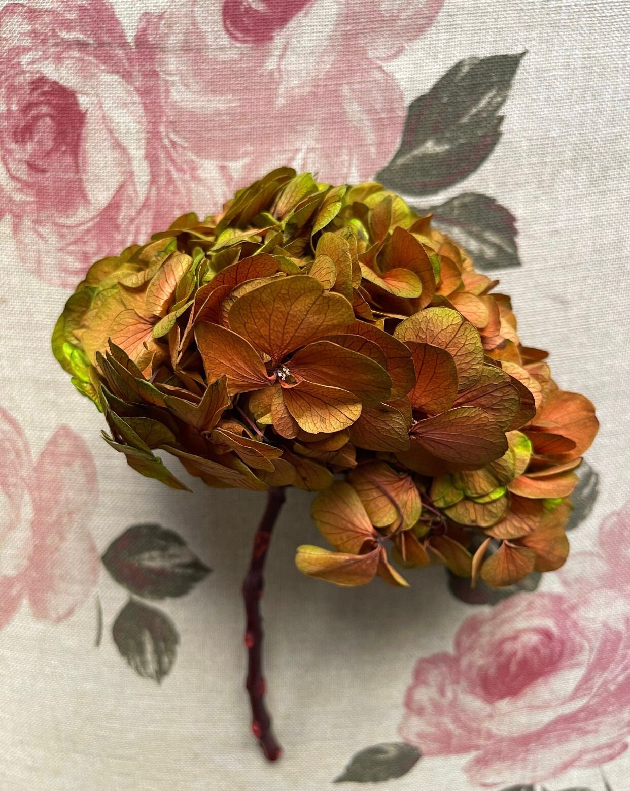 Preserved hydrangea green mix yellow gradient diameter 18-20cm, hortensia, decoration