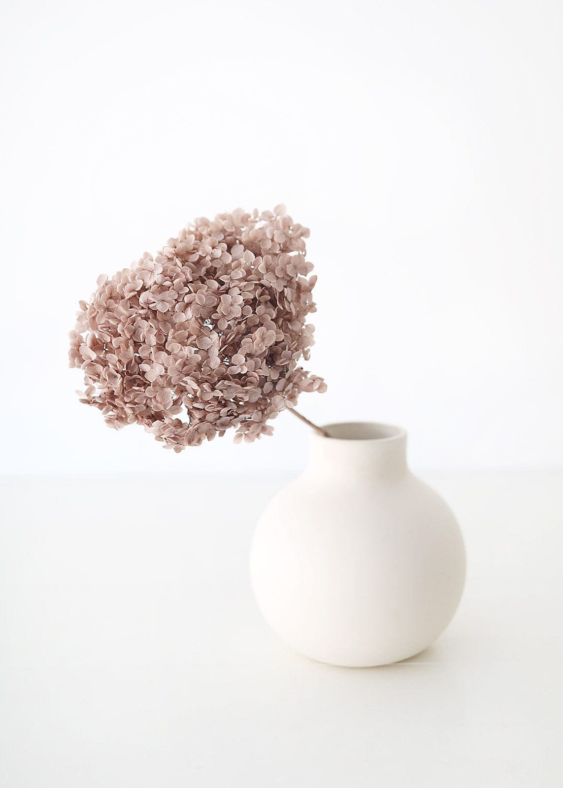Preserved hydrangea khaki color, DYI resin, home decoration dimension 20-22cm