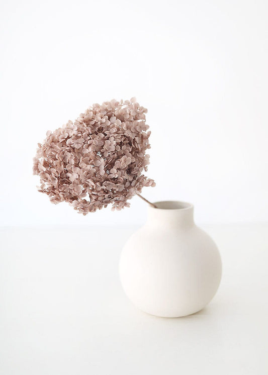 Preserved hydrangea khaki color, DYI resin, home decoration dimension 20-22cm
