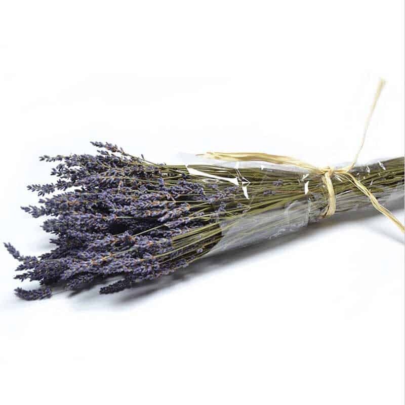 Dried lavender gosso from Provence, lavandin super blue, scented flower