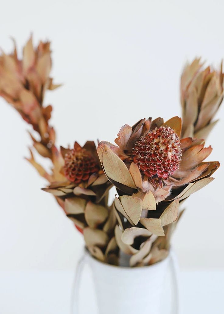 x5 natural wooden nervous, africain pod, rustic decoration, wooden flowers