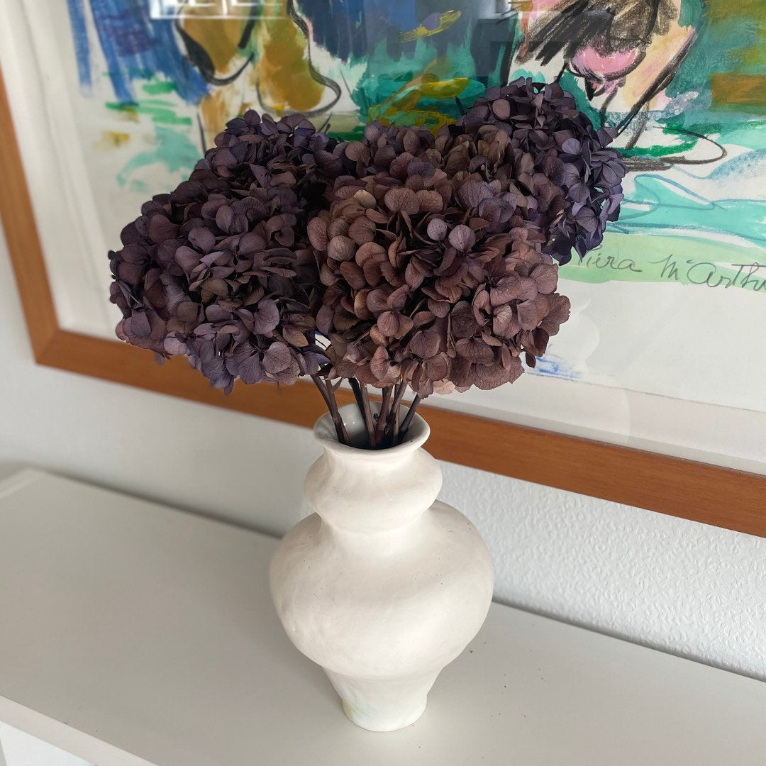 Big petal preserved hydrangea bordeaux red, Resin/Jewelry DIY, home decoration