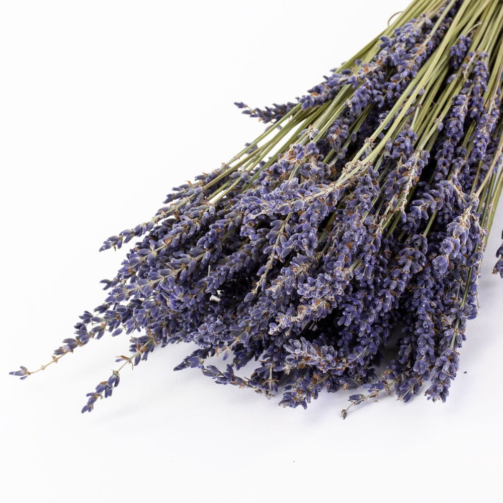 Dried lavender gosso from Provence, lavandin super blue, scented flower