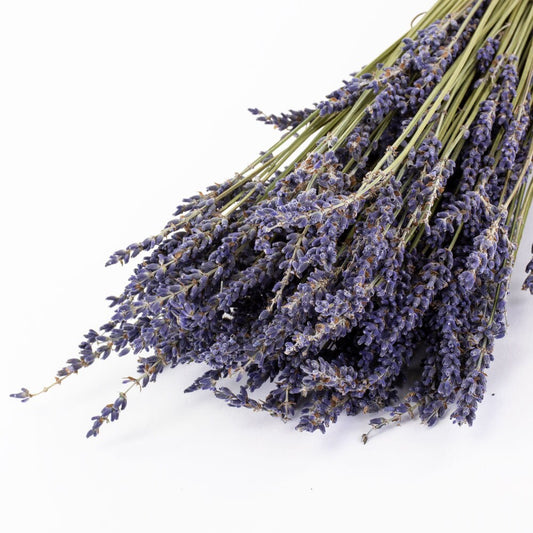 Dried lavender gosso from Provence, lavandin super blue, scented flower